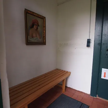 Lejlighed Gut-rattelvitz-galerie-d-hochwertig-sauna-kamin-etankstelle-spielscheune-15-000qm-parkland *