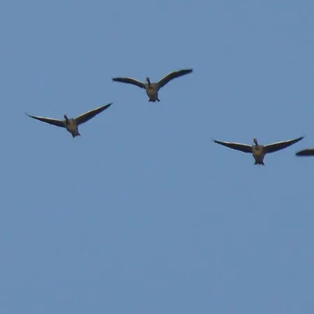 Gut-rattelvitz-galerie-d-hochwertig-sauna-kamin-etankstelle-spielscheune-15-000qm-parkland