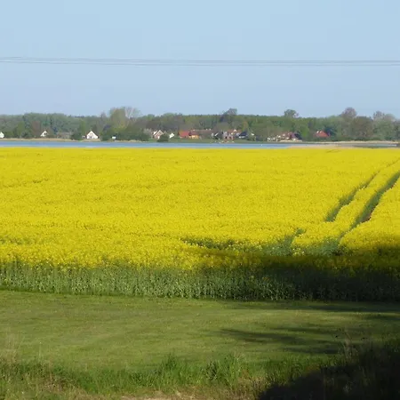 Gut-rattelvitz-galerie-d-hochwertig-sauna-kamin-etankstelle-spielscheune-15-000qm-parkland Gingst