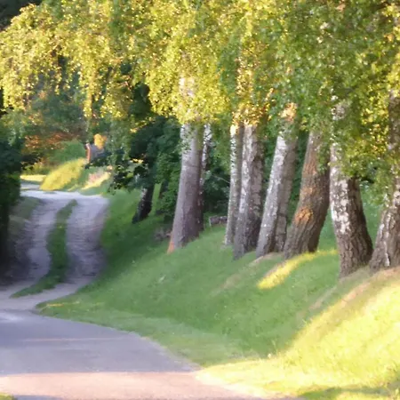 Lejlighed Gut-rattelvitz-galerie-d-hochwertig-sauna-kamin-etankstelle-spielscheune-15-000qm-parkland *