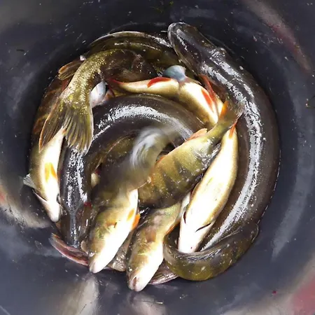 Gut-rattelvitz-galerie-d-hochwertig-sauna-kamin-etankstelle-spielscheune-15-000qm-parkland Lejlighed Gingst