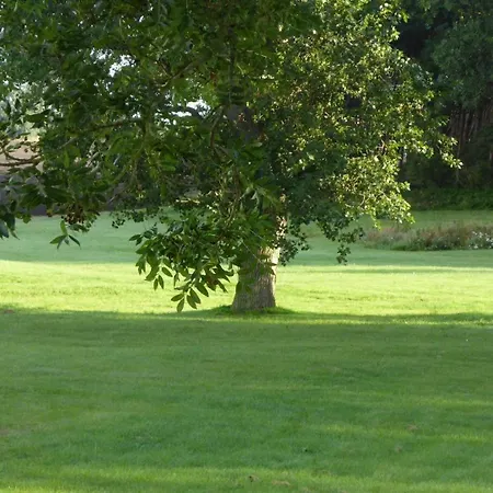 Lejlighed Gut-rattelvitz-galerie-d-hochwertig-sauna-kamin-etankstelle-spielscheune-15-000qm-parkland *