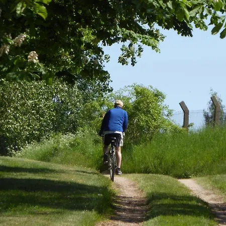 Lejlighed Gut-rattelvitz-galerie-d-hochwertig-sauna-kamin-etankstelle-spielscheune-15-000qm-parkland