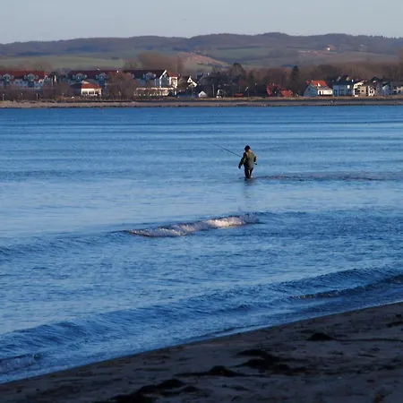 Lejlighed Gut-rattelvitz-galerie-d-hochwertig-sauna-kamin-etankstelle-spielscheune-15-000qm-parkland Gingst