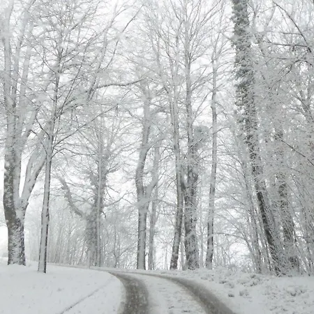 Lejlighed Gut-rattelvitz-galerie-d-hochwertig-sauna-kamin-etankstelle-spielscheune-15-000qm-parkland *