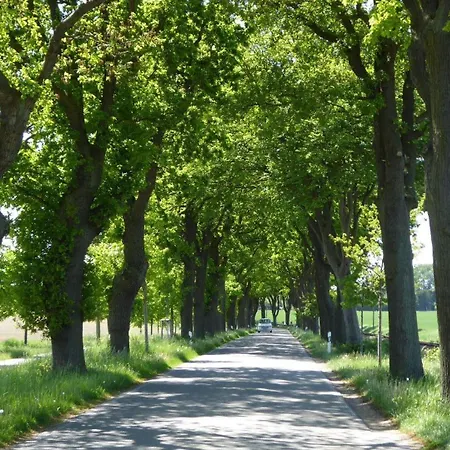 Lejlighed Gut-rattelvitz-galerie-d-hochwertig-sauna-kamin-etankstelle-spielscheune-15-000qm-parkland *