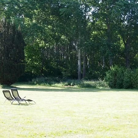 Gut-rattelvitz-galerie-d-hochwertig-sauna-kamin-etankstelle-spielscheune-15-000qm-parkland * Gingst