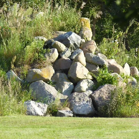 Lejlighed Gut-rattelvitz-galerie-d-hochwertig-sauna-kamin-etankstelle-spielscheune-15-000qm-parkland Gingst