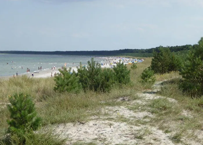 Gut-rattelvitz-galerie-d-hochwertig-sauna-kamin-etankstelle-spielscheune-15-000qm-parkland *